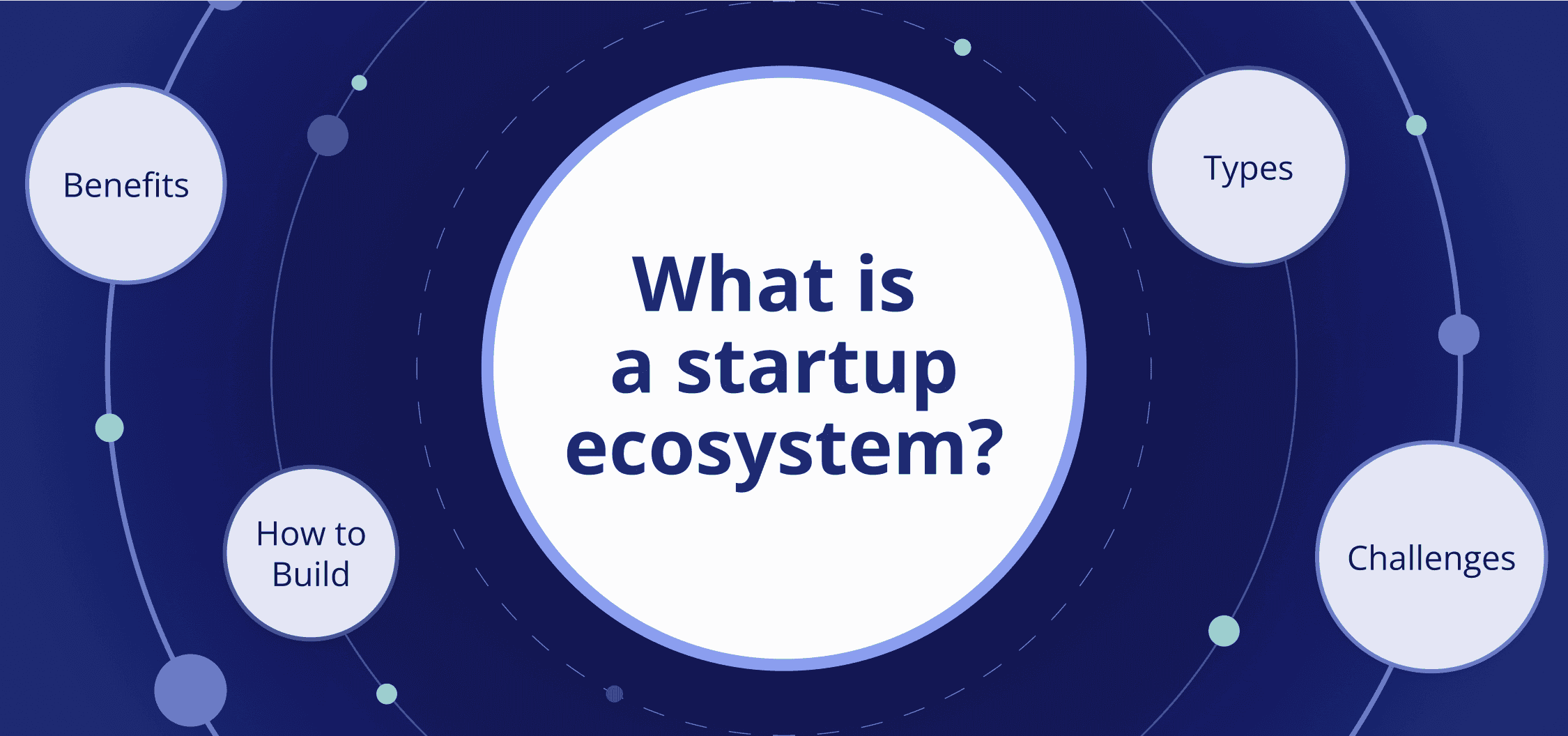 What Is a Startup Ecosystem?